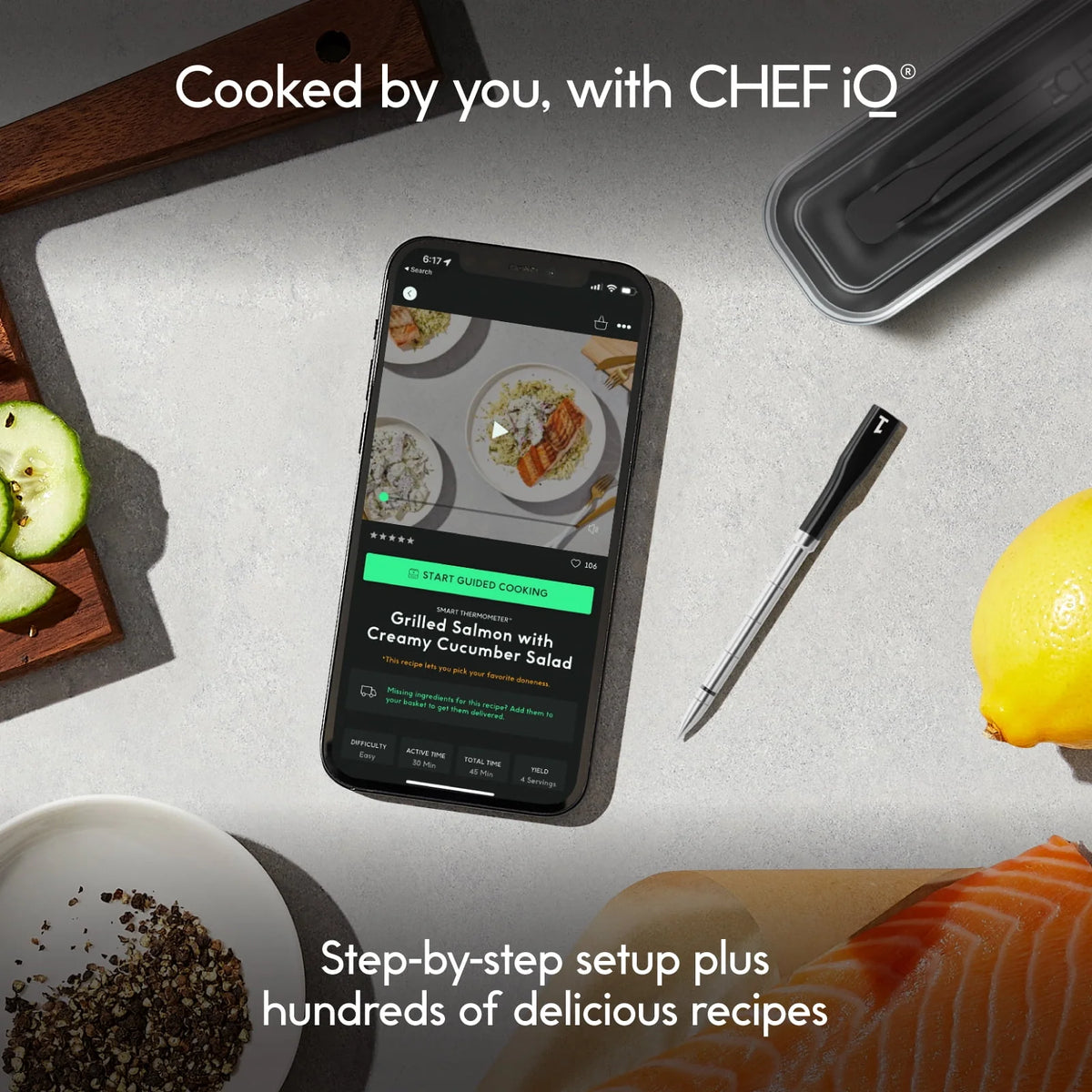 Wireless Meat Thermometer with Smart Hub I625207