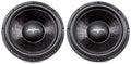 15 Dual 4 Car Subwoofer C67812