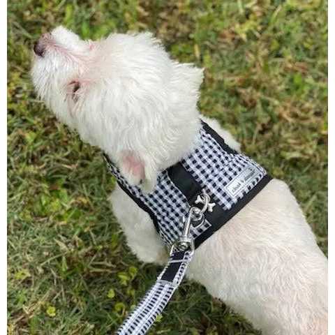 Gingham Dog Harness Vest W30601